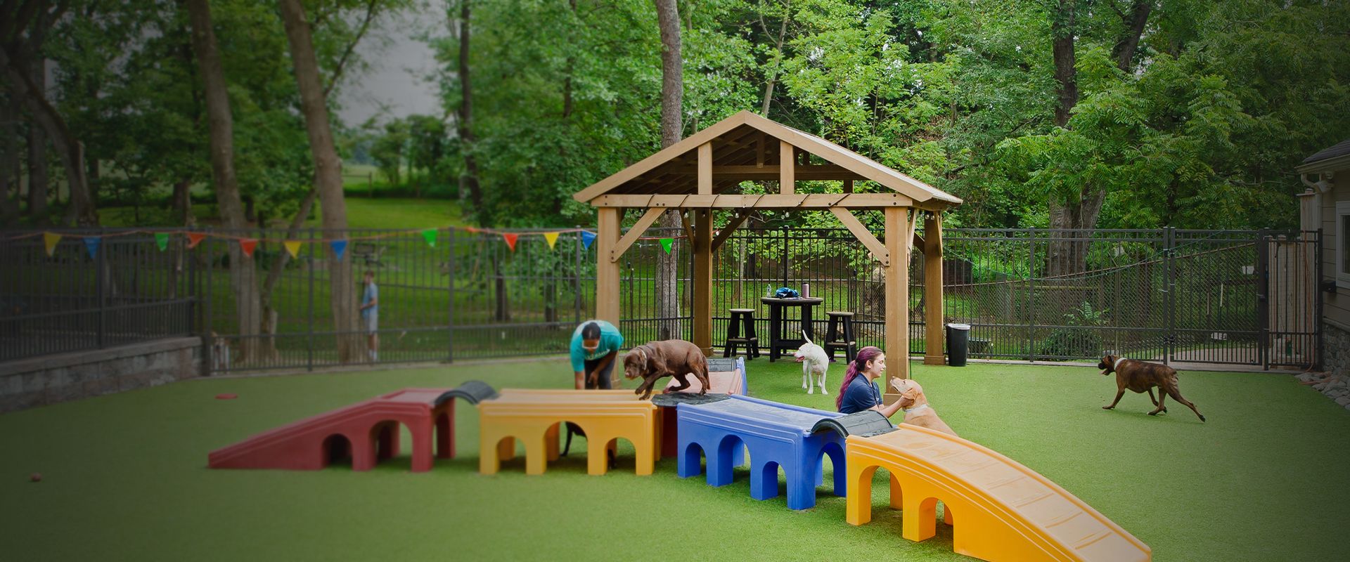 rivermist pet lodge playground